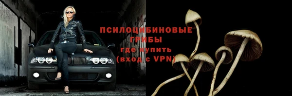 2c-b Няндома