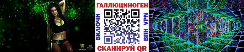 Галлюциногенные грибы Psilocybine cubensis  Багратионовск 