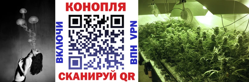 Шишки марихуана THC 21%  darknet официальный сайт  Багратионовск  наркотики 